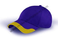 CP8108 (Royal blue / Golden yellow)